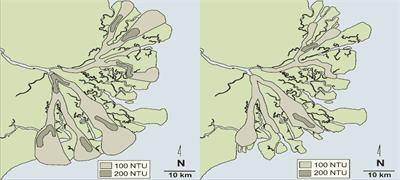 Turbidity maxima in estuarine networks: Dependence on fluvial sediment input and local deepening/narrowing with an exploratory model